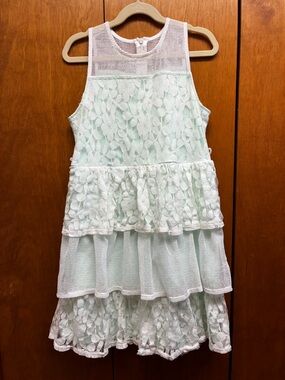 Disney Mint Green Dress with White Mesh Yoke